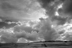 A grayscale shot of a landscape with bushes under dark storm clouds