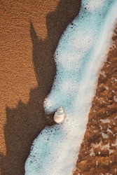 A top view shot of a small conch shell on the seashore sand and the wave