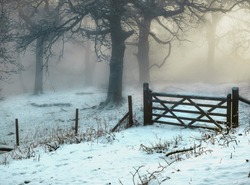 Old wooden fences in a forest covered in the snow and fog on a gloomy day in winter