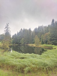 A vertical shot of Lac des Joncs and conifers in a forest under the gloomy sky in Les Paccots, Fribourg, Switzerland