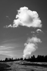 A vertical greyscale shot of a huge cloud and field full of trees 
