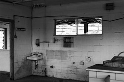 A greyscale shot of a bathroom of an abandoned building