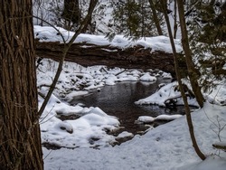 A pond in a forest covered in trees and snow in winter in Oshawa, Ontario, Canada