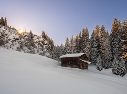 A single wooden cabin on a snowy hill with coniferous trees at sunset