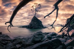 A beautiful view of leafless branches, rocks, a tree in the water a gainst a dramatic sunset sky