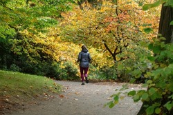 A woman jogging in an autumn forest in Arboretum, Seattle