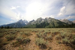 A piece of nature in Grand Teton National Park, Wyoming, the USA