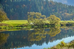 A beautiful landscape view of the river bank trees with visible reflection on the water surface against dense forest in bright sunlight