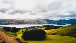 A beautiful view of lake surrounded by greenery in Dunedin, South Island, New Zealand