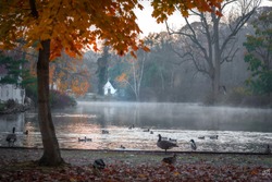
A morning view of Avalon park and preserve, Stony Brook, New York,  with a white house in the background and mists and water fowls on the pond.