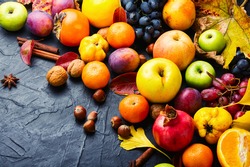 Large assortment of fruits,grapes and nuts.Autumn still life