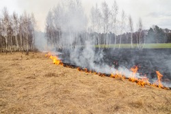 Emergencies in the field, fire burns dry grass with animals, death for all living things