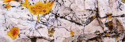 Natural gray rock stone texture with yellow lichen.