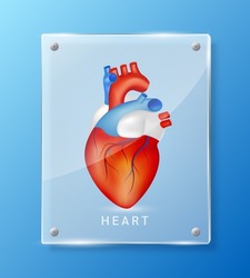 Human heart inside square translucent glass panels for pharmacy advertisement. Poster banner design for clinics, hospital. Medic science concept. Realistic 3D Vector EPS10. 
