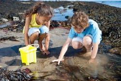 Boy and girl exploring in rock pool on summer beach vacation