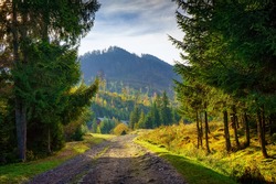 Autumn landscape in the Carpathians. A dirt road leads to the mountain peaks. Early autumn in the highlands