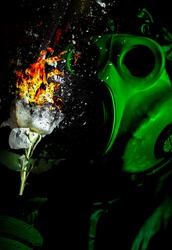 Man in the gas mask holding flower. Radiation influence. Environmental pollution. Chernobyl concept. Dangerous nuclear power. Ecological disaster. Nuclear explosion.