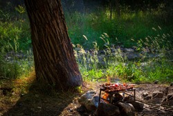 Barbecue outdoors. Brook,tree and grille in a view. Green grass river and barbecue. Meats on the barbecue. Nature background. Having a barbecue in nature. Shish kebabs on grille. Meats and vegetables.