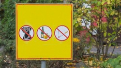 Three prohibiting red signs on a yellow background. No dog, no smoking, no drinks signs. Forbidden concepts.