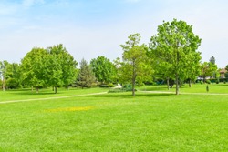Green grass green trees in the  beautiful park with white Cloud blue sky in noon. - Image