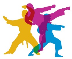 Martial arts sport graphic with fighter in action.