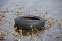 Old, black rubber car tire abondoned in water