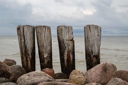 pillars made of aged wood - the remains of an old pedestrian bridge on the shores of the baltic sea