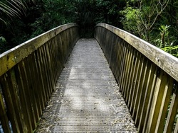 Forest wooden bridge over mountain river. Wairere falls track