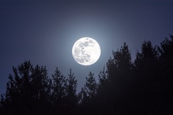 Full Moon over trees fantasy background