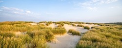 Dune beach panorama with beach grass