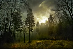 Magic dark forest. Autumn forest scenery with rays of warm light. Mistic forest. Beskid Mountains. Poland