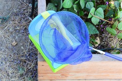 Close up of critter keeper and butterfly net in garden