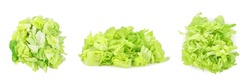 Heap of sliced green lettuce isolated on white background.