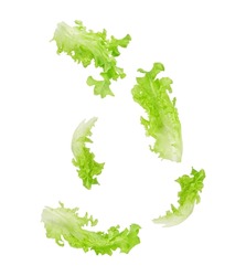 Fresh salad green lettuce leaves falling in the air isolated on white background.