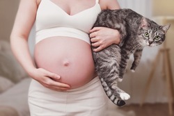 Pregnant woman with a pet cat in her hands, home living room