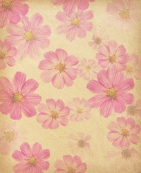 vintage paper background with cosmea flowers