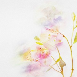 Yellow Floral Background - Free Stock Photo by Veronica Spriggs on