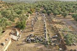 Aerial view of the ancient market place of Nysa located in present Aydin, Turkey. 
