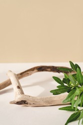 Natural background for cosmetic products created from wood and green leaves.