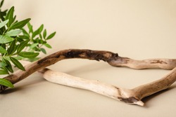 Natural background for cosmetic products created from wood and green leaves.
