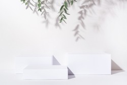 White background for cosmetic products. Rectangular podiums with the shadow of the branches of the eucalyptus.