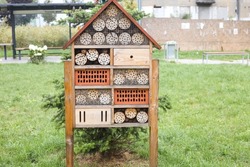 house for insects, insect hotel. Insect hotel in a green hedge gives protection and a nesting aid to bees and other insects.