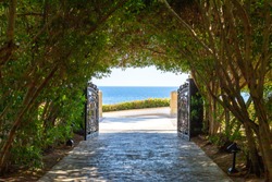 The green tunnel and the light at the end of it. Lush greenery creating a tunnel, sea horizon at the end of the tunnel. A shady alley through dense greenery leading to the seashore.