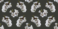 Seamless pattern of apricot blossom branch for celebration design on deep green background.. Beautiful floral background. Isolated flowers. Seamless floral pattern for fabric, textile, wrapping paper