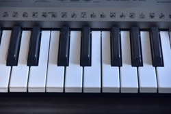 Piano keybord image.Fancy keybord.Flower on a piano keybord.Black and white keybord