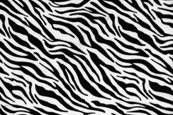 Zebra Stripes Seamless Pattern, nature background, tribal ornament