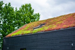 Building with a green roof completely covered with vegetation. Extensive green sustainable sedum cassette roof with succulent plants. Roof greening with succulents. Skylight in the middle of the roof