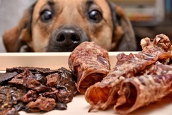 Natural treats for pets. dried meat products to feed and motivate dogs. the dog in the background looks with interest. High quality photo