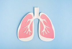 Lungs paper decorative model on light blue background. World tuberculosis TB day, pneumonia, respiratory diseases concept. Top view, flat lay