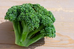 Big freshly cut green broccoli cauliflower on bright summer sun.Macro photo of organic vegetable 